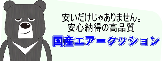 売れ筋1商品ですって。驚きの価格…でも納得だわ。エアークッション